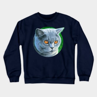 Grey British Shorthair Cat Crewneck Sweatshirt